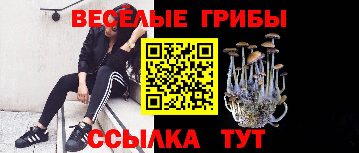 Чебоксары  где найти наркотики  Галлюциногенные грибы мицелий  Вход с VPN  Псилоцибиновые грибы Magic Shrooms 