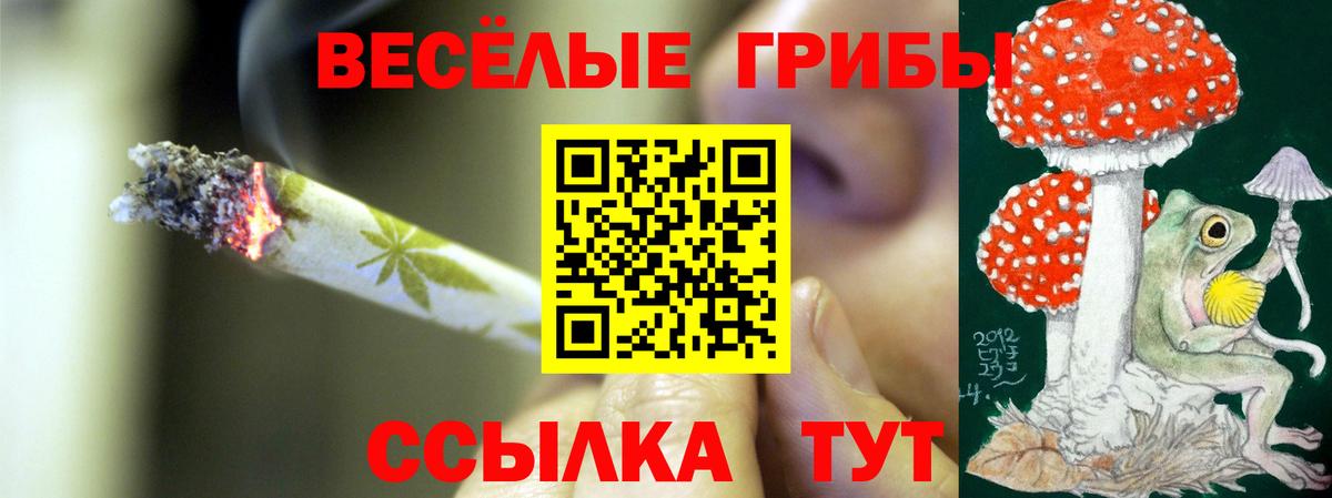 Псилоцибиновые грибы мицелий Чебоксары